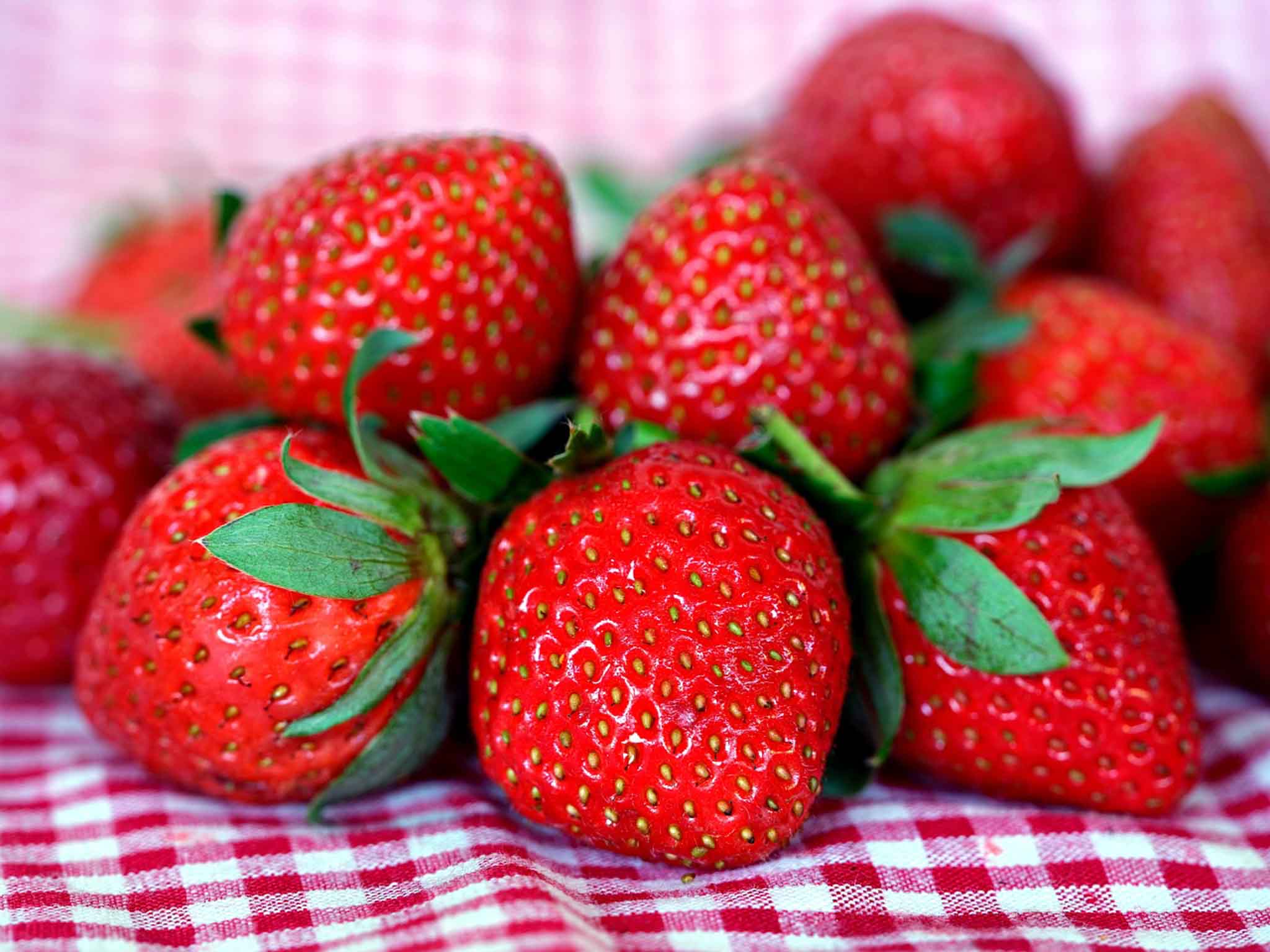 les fraises , fruit du début d'été que nos producteurs locaux savent rendre les plus gouteuses