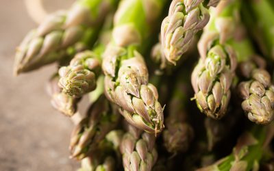 Le Printemps dans votre assiette: L’Arrivée des Asperges dans Nos Paniers